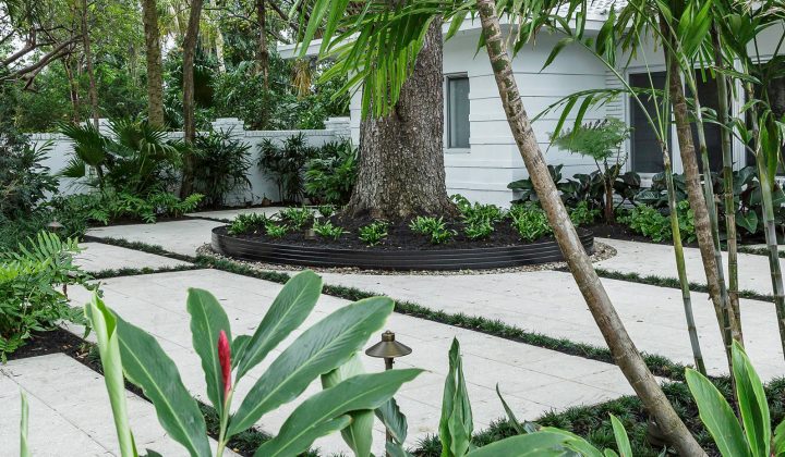 Home Cadence, Landscaping Fort Lauderdale