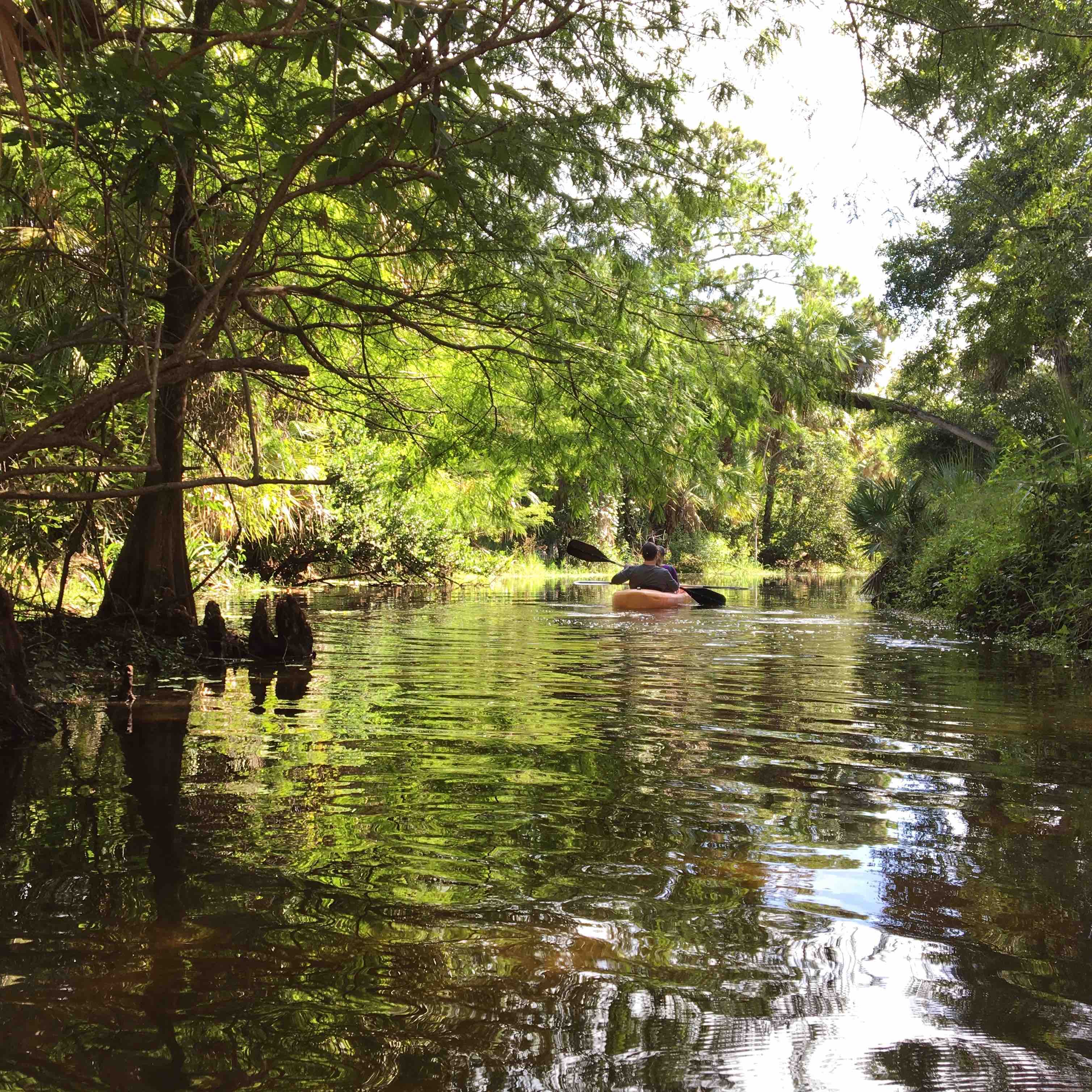 Loxahatchee River Cadence Cadence